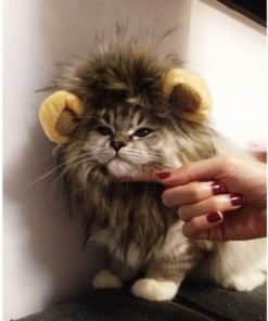 Dogloveit Pet Costume Lion Mane Wig for Dog Cat Halloween Dress up with Ears 4