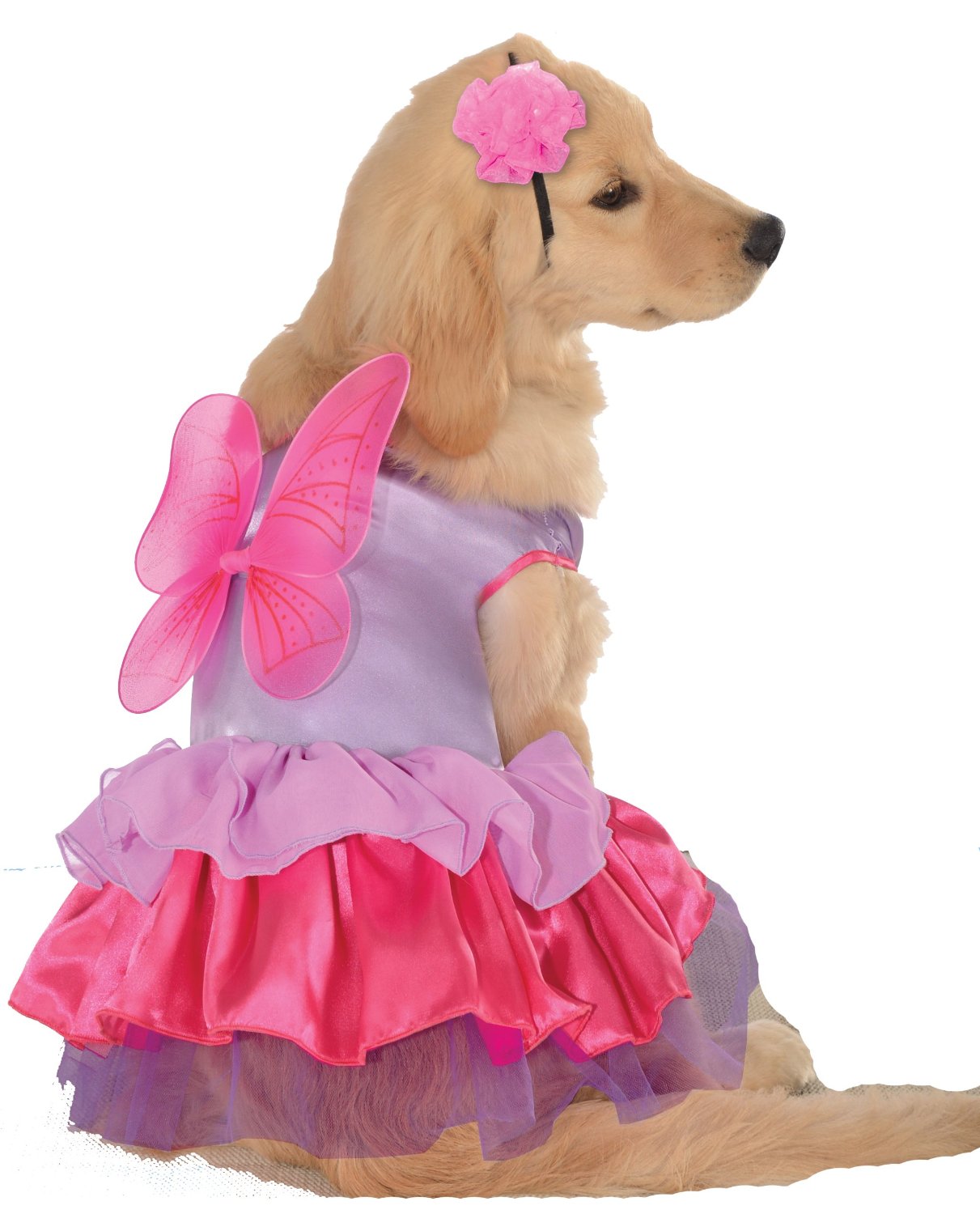 Pixie Pup Pet Costume