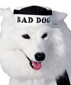 Prisoner Dog Pet Costume 3