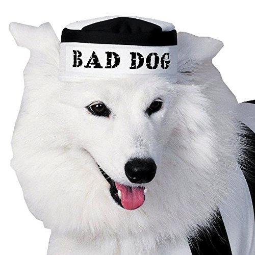 Prisoner Dog Pet Costume 3