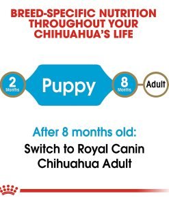 Royal Canin Chihuahua Puppy Food, 2.5 lbs - Chihuahua Kingdom 4