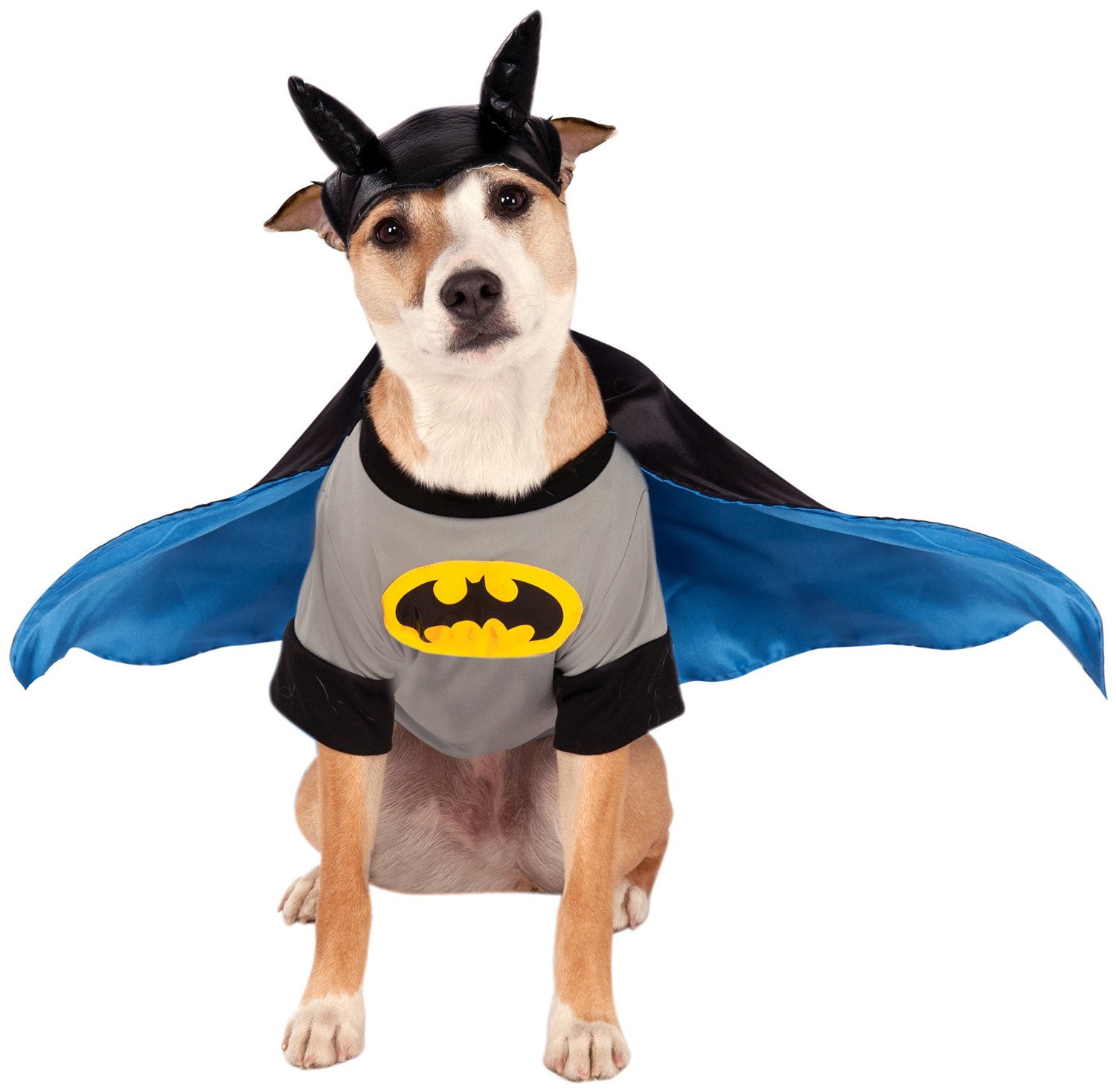 Rubies Costume DC Heroes and Villains Collection Pet Costume, Small, Batman