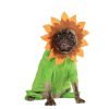 Rubies Costume Halloween Classics Collection Pet Costume, Small, Sunflower