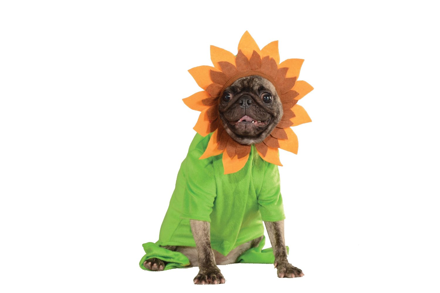 Rubies Costume Halloween Classics Collection Pet Costume, Small, Sunflower