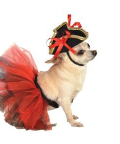 Rubies Costume Halloween Classics Collection Pet Costume, Small to Medium, Red and Black Tutu