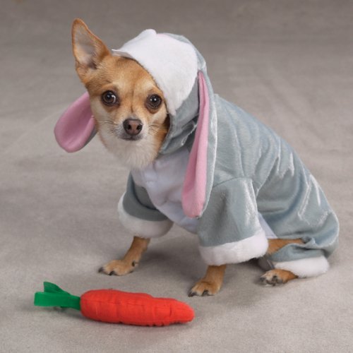 Zack & Zoey Bunny Rabbit Pet Costume 2