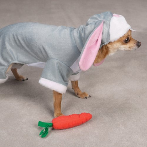 Zack & Zoey Bunny Rabbit Pet Costume 3