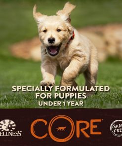 Wellness CORE Natural Grain Free Dry Dog Food, Puppy Health Chicken & Turkey Recipe, 12-Pound Bag 5