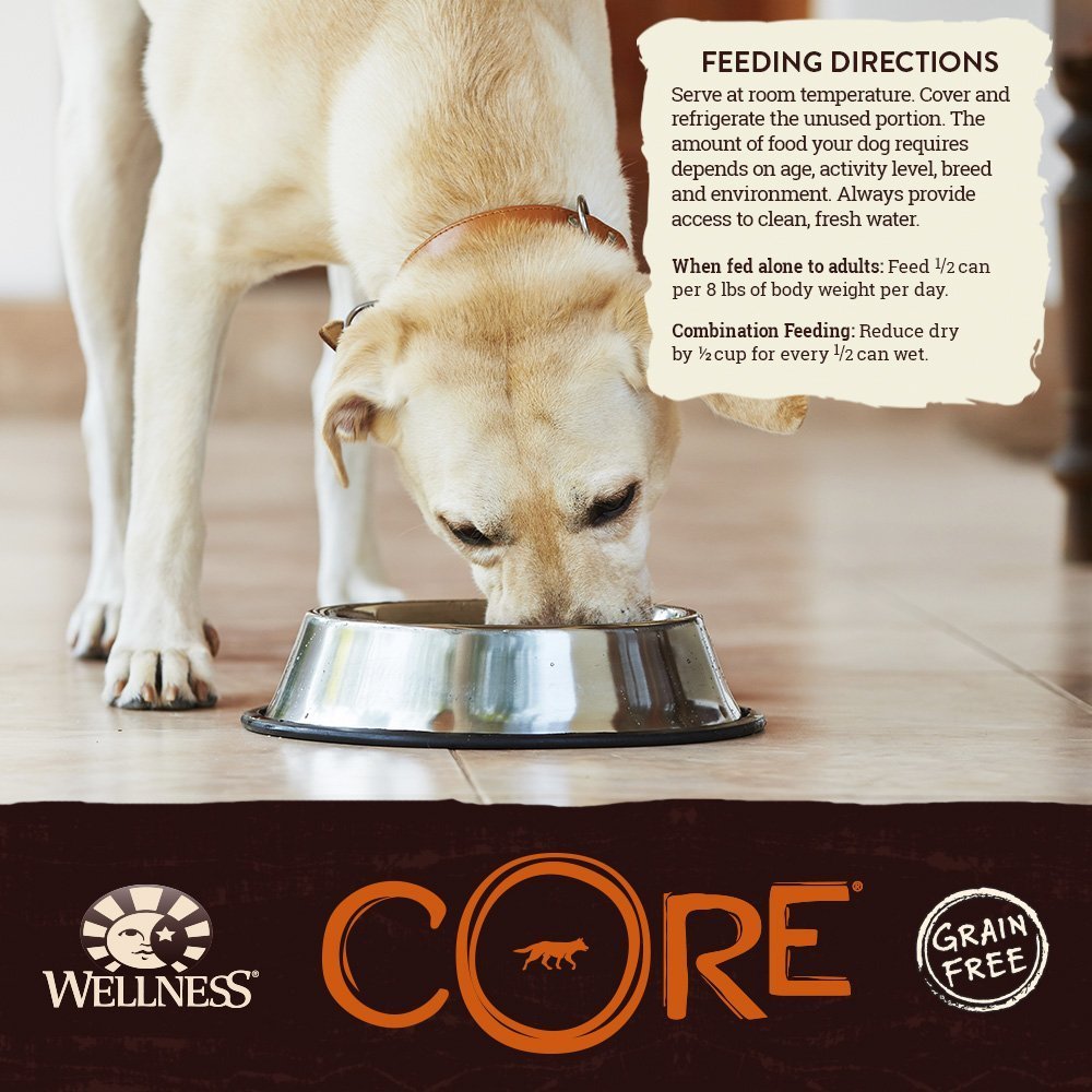Wellness CORE Natural Grain Free Wet Canned Dog Food, Salmon, Whitefish & Herring Recipe, 12.5-Ounce (Value Pack of 12) 7