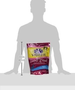 Wellness Small Breed Complete Health Turkey & Peas Senior Dog Food 12