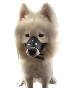 Alfie Pet by Petoga Couture - Brook Adjustable Synthetic Leather Basket Muzzle