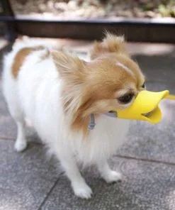 Cute Pet Ultra-Soft Silicone Foam Pet Dog Duckbill Mask Muzzle Anti-Biting and Barking Avoid the Pet from Eating Junk Food Outside to Keep Safety 3 Colors Size S M L 2