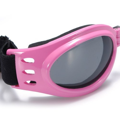 New Fashionable Water-Proof Multi-Color Pet Dog Sunglasses Eye Wear Protection Goggles Small 2