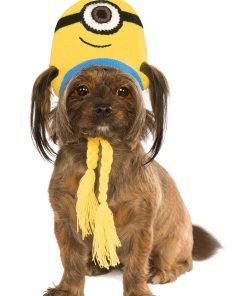 Rubies Costume Company 580372_S-M Minion Stuart Knit Dog Headpiece, Small-Medium