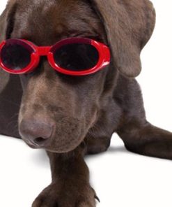 Doggles ILS X-Small Racing Flames Frame and Orange Lens 8