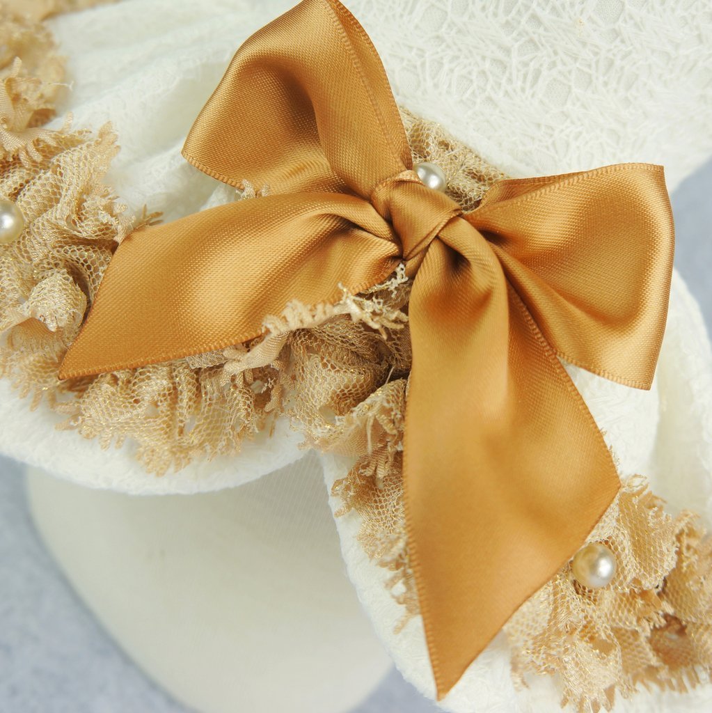 Fitwarm Elegant Lace Pet Clothes for Dog Dress Wedding Apparel Shirts, White 3