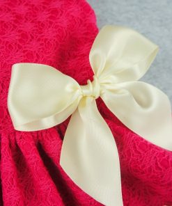 Fitwarm Pink Sweet Pet Dog Dress Lace Ribbon Clothes Shirts 2