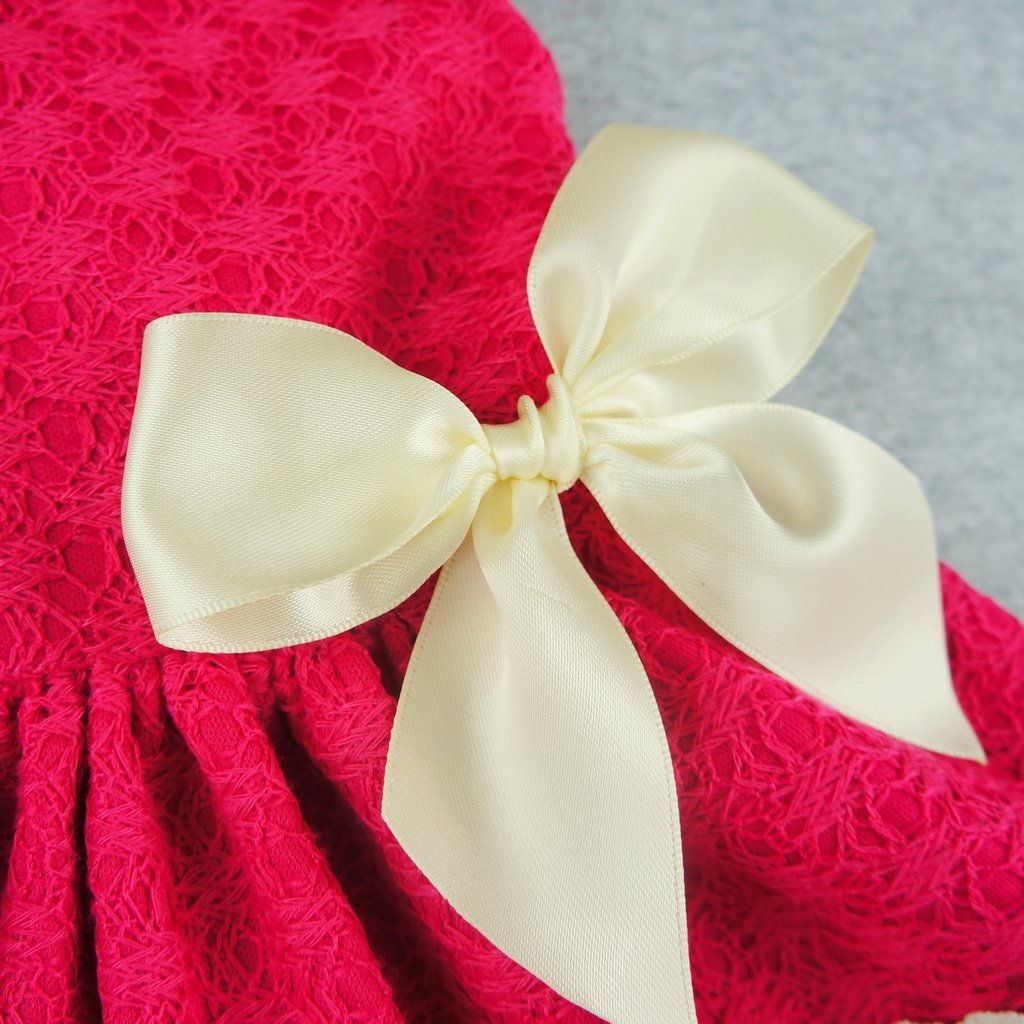 Fitwarm Pink Sweet Pet Dog Dress Lace Ribbon Clothes Shirts 2