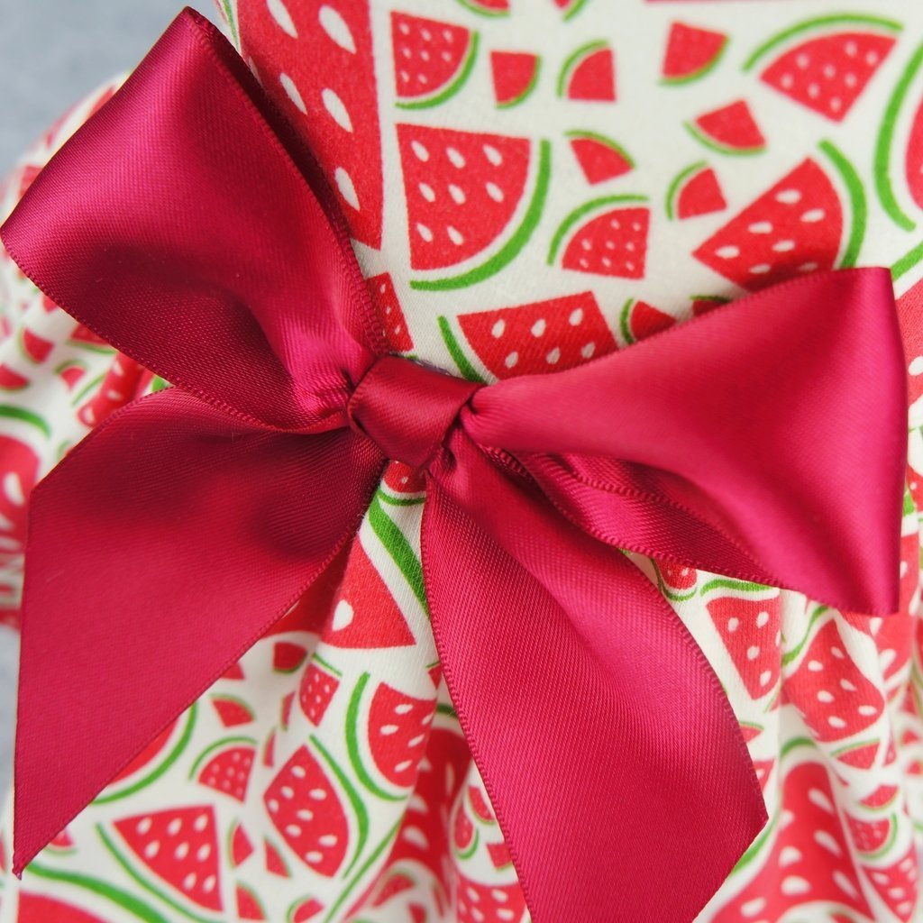 Fitwarm Sweetie Watermelon Pet Clothes for Dog Dress Sundress Shirts - Red 2
