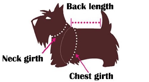 Fitwarm® Adorable Rainbow Ribbon Dog Dress Dog Shirt Dog Clothes Pet Dress 6