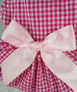 Fitwarm® Casual Pink Plaid Ribbon Pet Clothes Dog Dress Lace Shirts Apparel 4