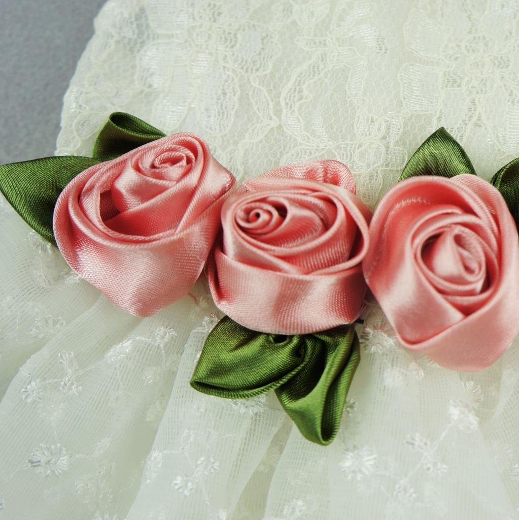 Fitwarm® High Quality Luxury Rose Lace Pet Dog Weddding Dress Bride Clothes Formal Apparel 3