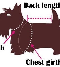 Fitwarm® High Quality Luxury Rose Lace Pet Dog Weddding Dress Bride Clothes Formal Apparel 6
