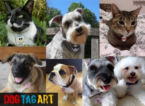 Good Girl - Chihuahua - Custom Pet ID Tag for Dogs and Cats - Dog Tag Art 4