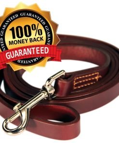 Logical Leather 6 Foot Dog Training Leash 6