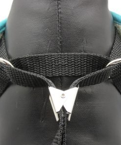 Alfie Pet by Petoga Couture - Alixis Step-in Harness and Leash Set 9