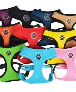 BINGPET BB5001 Soft Mesh Dog Harness Pet Walking Vest Puppy Padded Harnesses Adjustable , Orange Extra Small 2