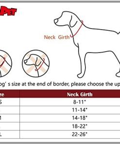 BINGPET BA2006 Real Split Leather Studded Pet Dog Collar 7