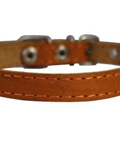 Real Leather Dog Collar 9.5-13 Neck Size, 1-2 Wide Chihuahua, Puppies 3