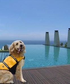 Designer Dog Life Jacket Pet Saver Vest Coat Floation Float Ait Buoyancy 7
