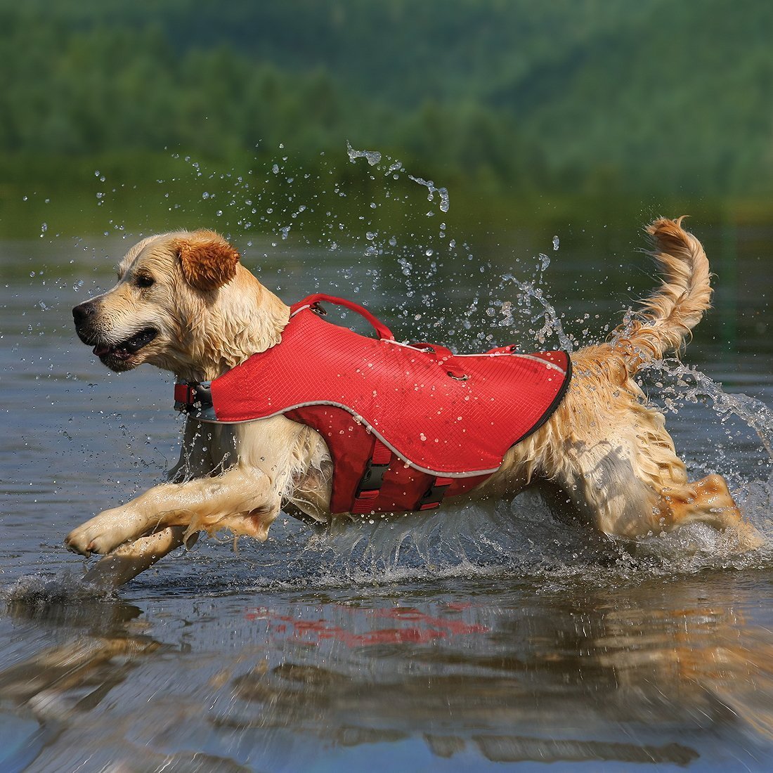Kurgo Surf N Turf Dog Life Jacket - Lifetime Warranty 2