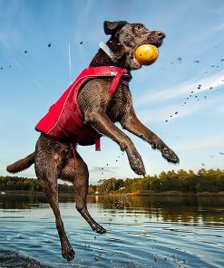 Kurgo Surf N Turf Dog Life Jacket - Lifetime Warranty 4