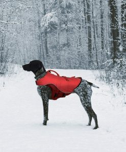 Kurgo Surf N Turf Dog Life Jacket - Lifetime Warranty 5