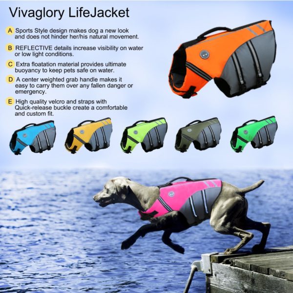 Vivaglory pets Clearance