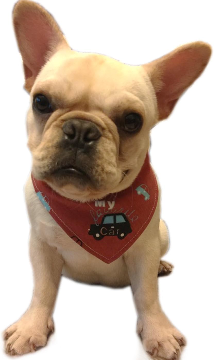 Alfie Pet - Cais Bandana 3-Piece Set for Dogs & Cats 8