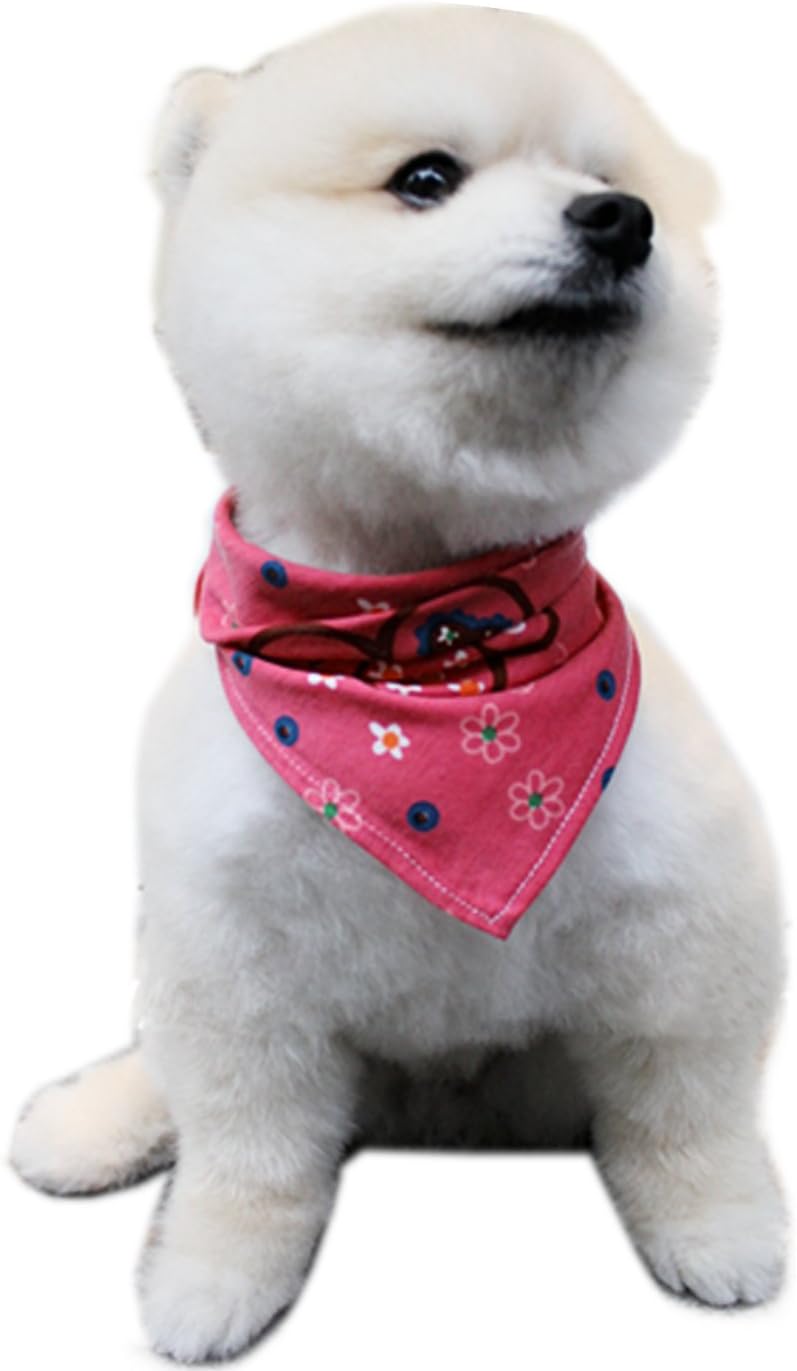 Alfie Pet by Petoga Couture - Cais Bandana 3-Piece Set for Dogs & Cats - 6