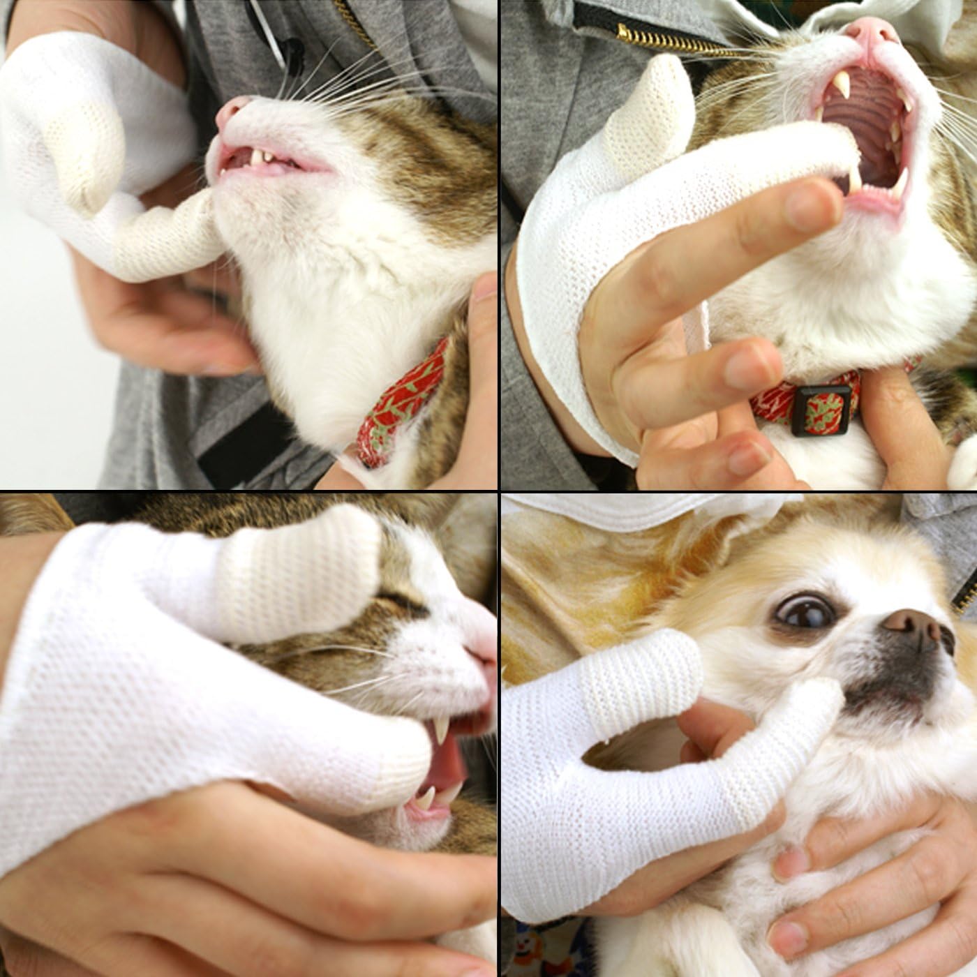 Alfie Pet by Petoga Couture - Flann Finger Tooth Cleaning Gloves - 2