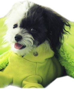 Alfie Pet by Petoga Couture - Nikki Blanket for Dogs and Cats - Color - Green