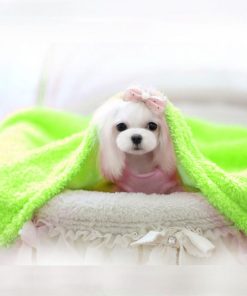 Alfie Pet by Petoga Couture - Nikki Blanket for Dogs and Cats - Color - Green - 2