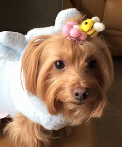Alfie Pet by Petoga Couture - Pamela Hair Clip for Dogs, Cats and Small Animals - 2