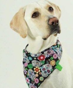 Dimples Dog Bandana - Black Mexican Skulls (handmade for all sizes and breeds) 3