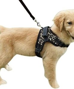 Heavy Duty Adjustable Pet Puppy Dog Safety Harness with Leash-9