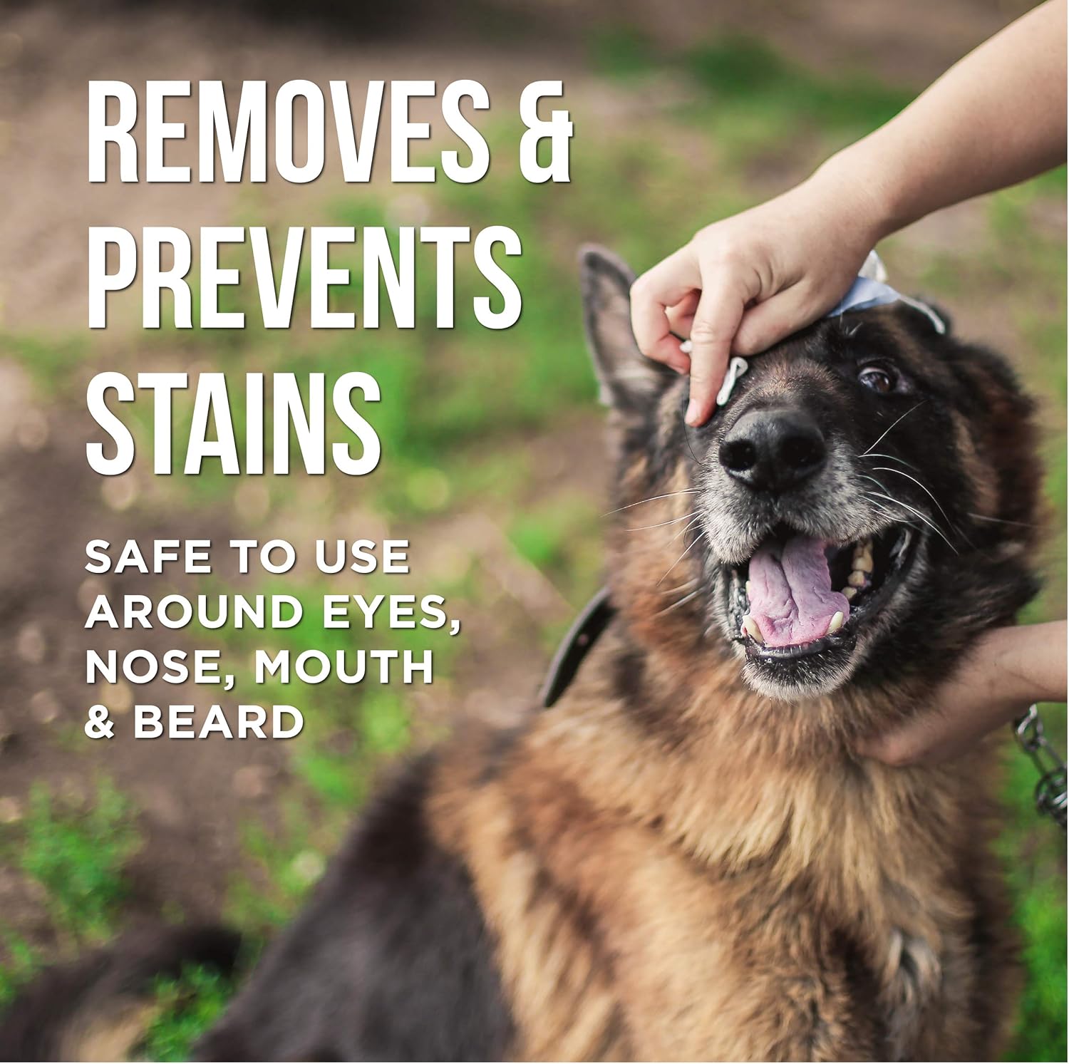 Natural Rapport Eye Tear Stain Remover for Dogs-2
