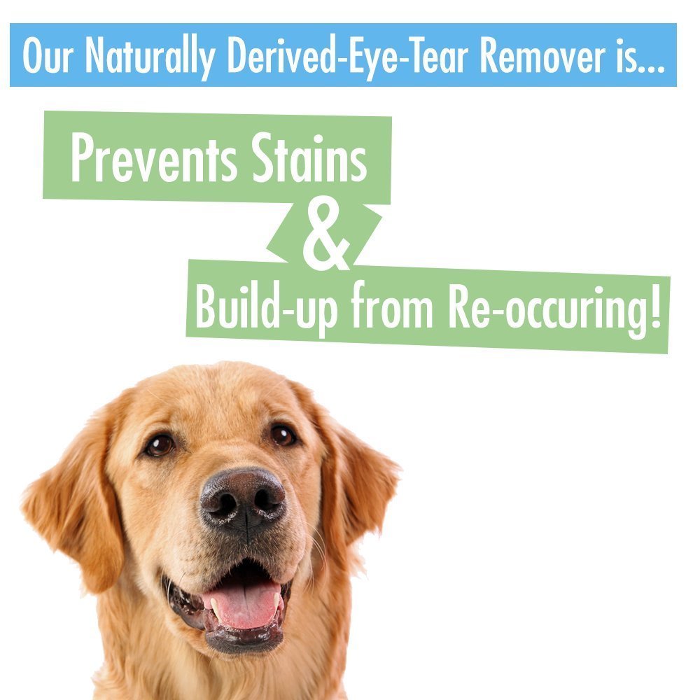 Natural Rapport Eye Tear Stain Remover for Dogs Chihuahua Kingdom