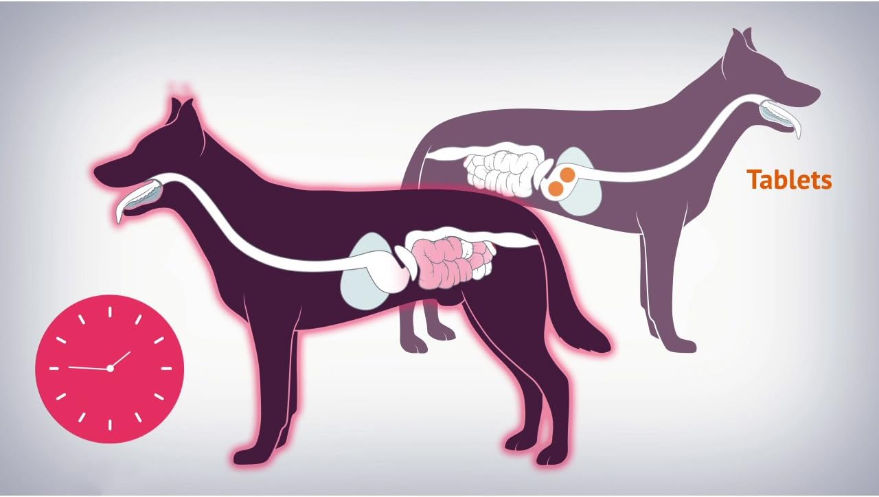 Pettura - Calming, Liquid Dog Supplements, Relieves Stress & Promotes Calming-7