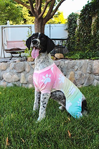 CuteBone Dog pajamas Dog Apparel Dog Jumpsuit Gradient color Pet Clothes Pajamas 6